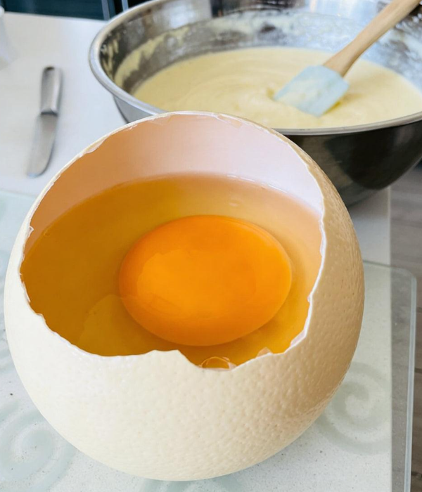 Culinary Ostrich Eggs